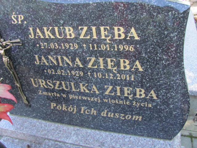 Grób Jakub Zięba