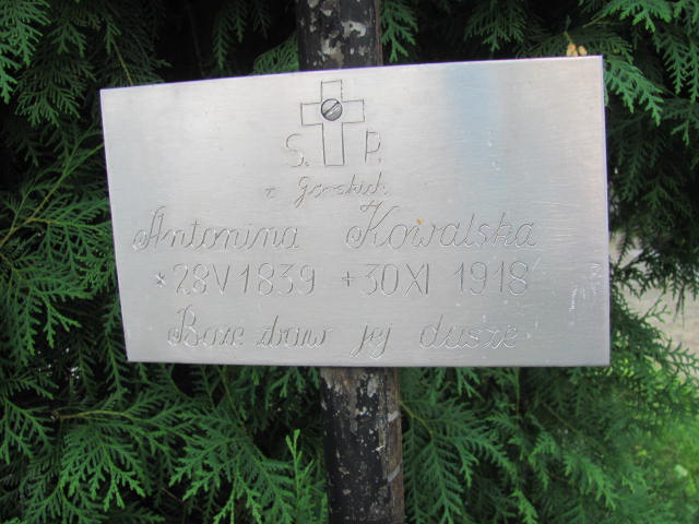 Zdjęcie grobu