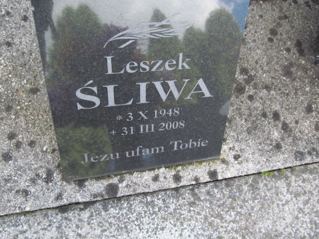 Wojciech Śliwa 1907 Bobowa - Grobonet - Wyszukiwarka osób pochowanych