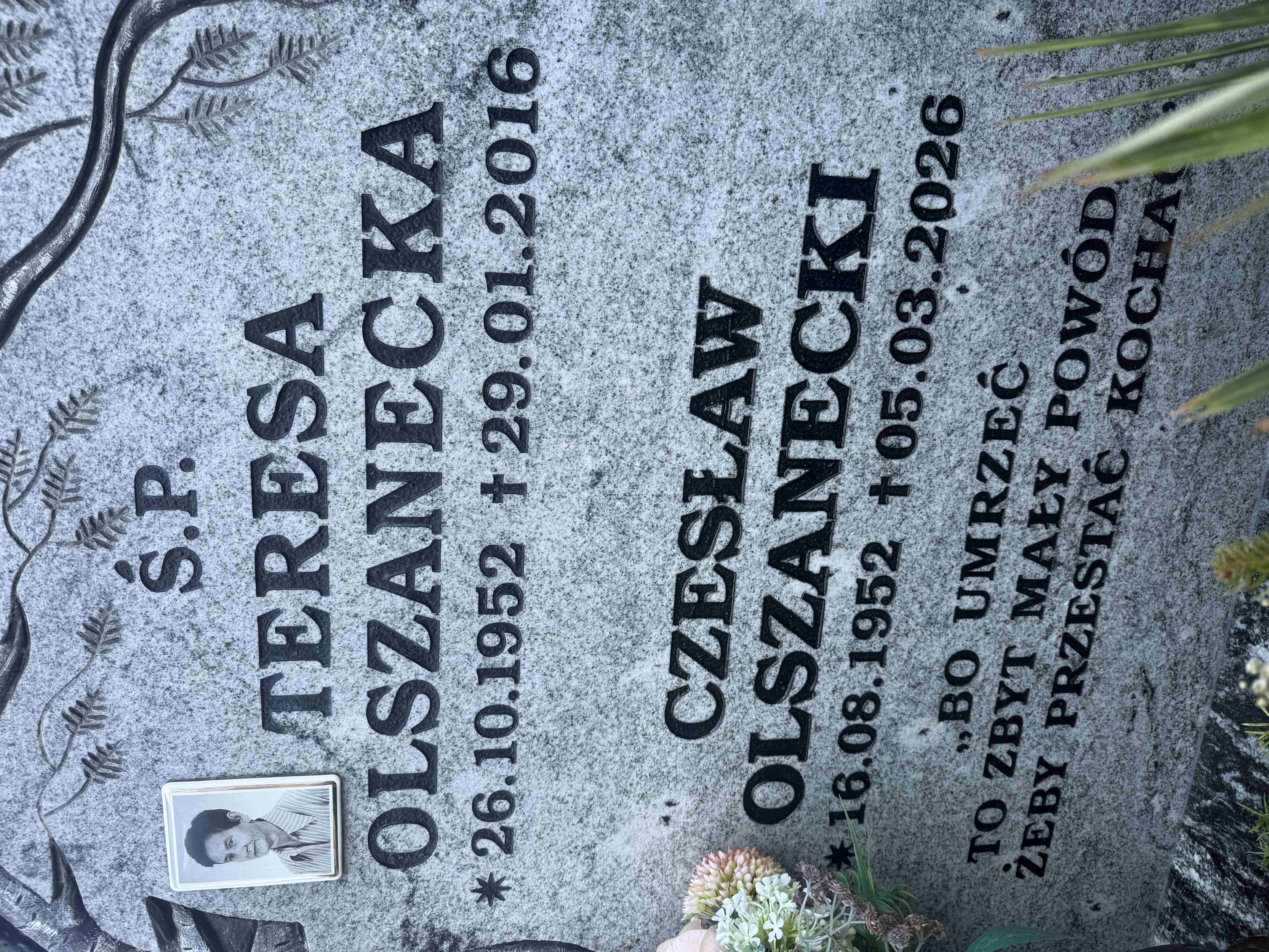 Grób Czesław Olszanecki